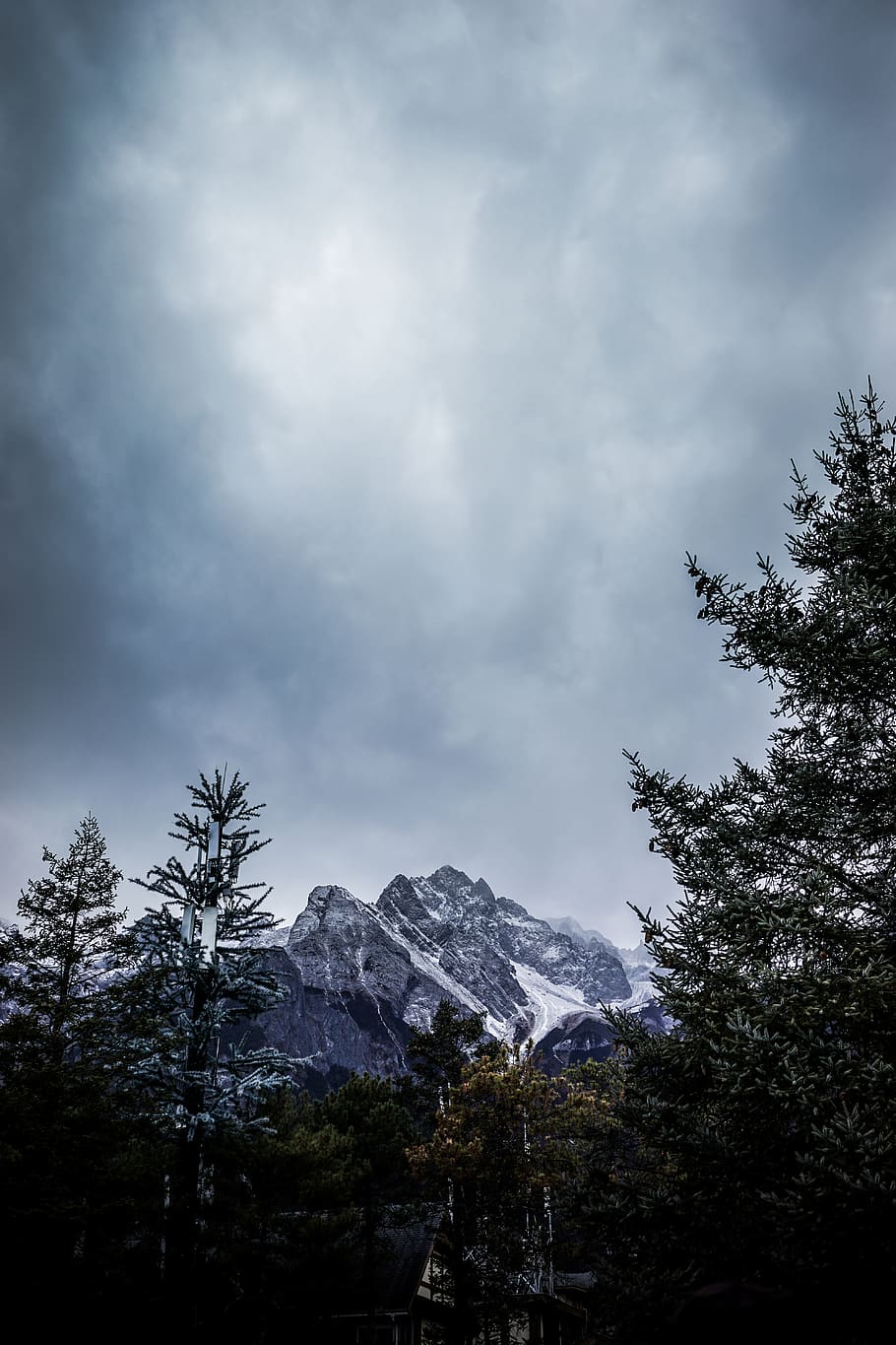 snow covered mountain under gray sky at daytime, plant, tree