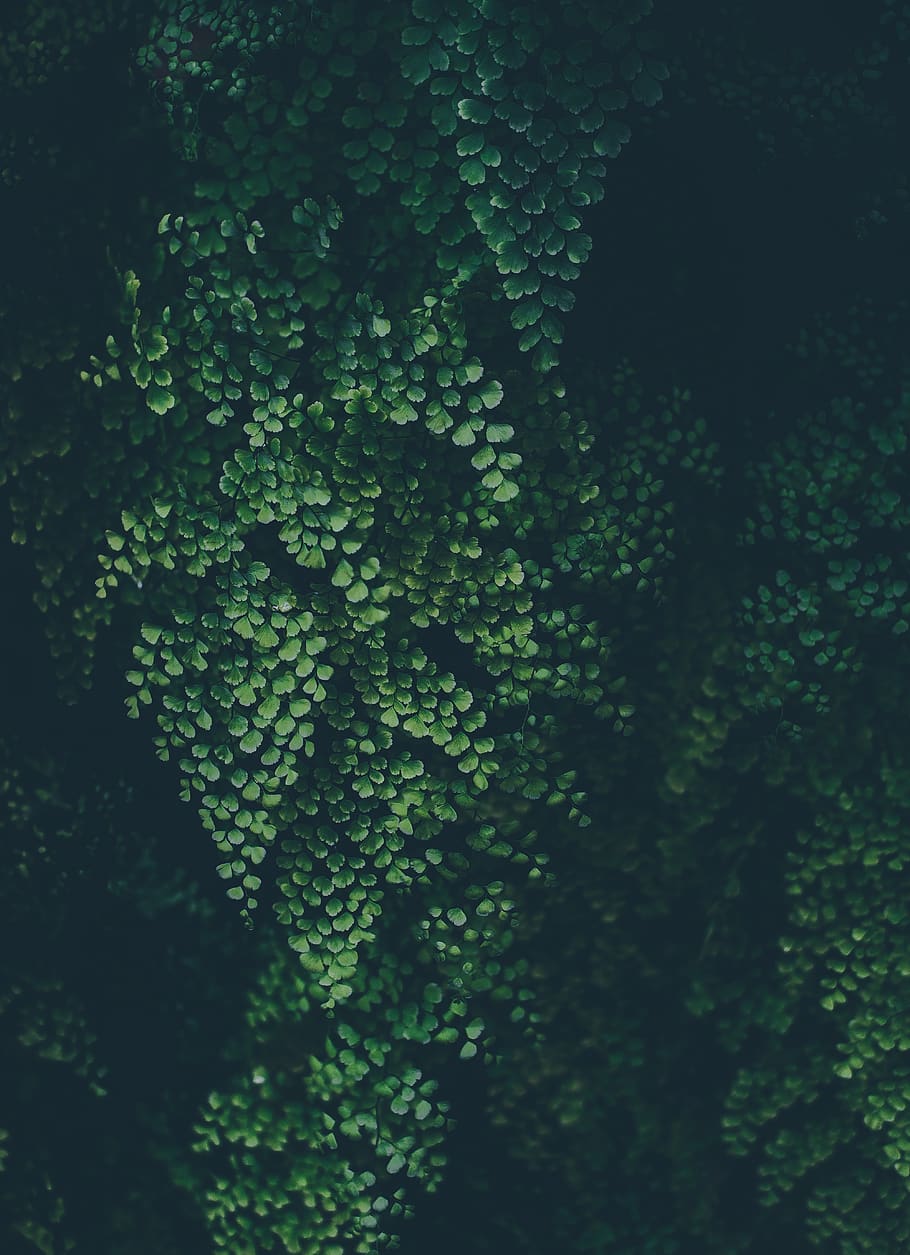abstract, art, background, biology, construction, dark, design HD wallpaper