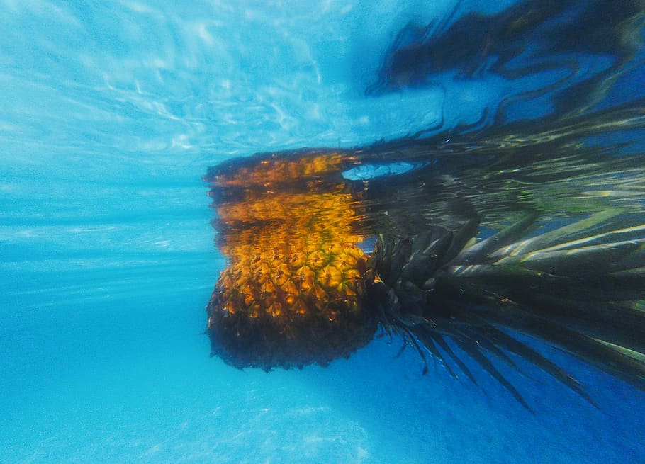pineapple, water, pool, underwater, fruit, tropical, vacation HD wallpaper