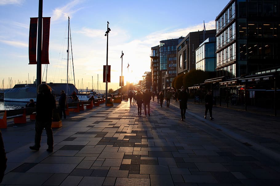oslo, waterfront, light, aker brygge, building exterior, architecture HD wallpaper
