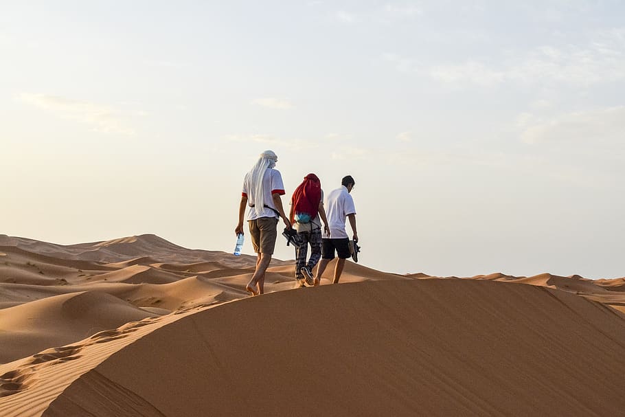 three men walking on desert during daytime, sand dune, landscape HD wallpaper