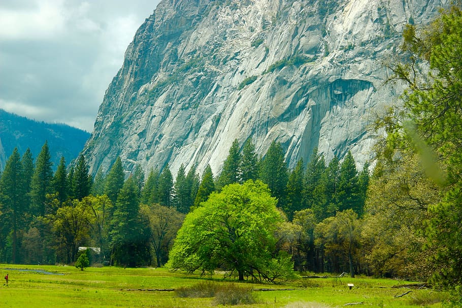 mountains, landscape, valley, tree, plant, beauty in nature HD wallpaper