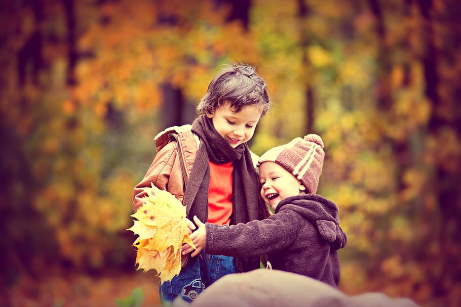 Two Boys Wearing Jacket Holding Yellow Maple Leaves, cap, child