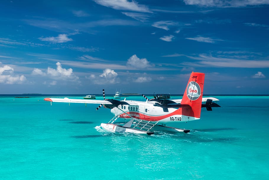 plane land on water, seaplane, aircraft, transportation, vehicle