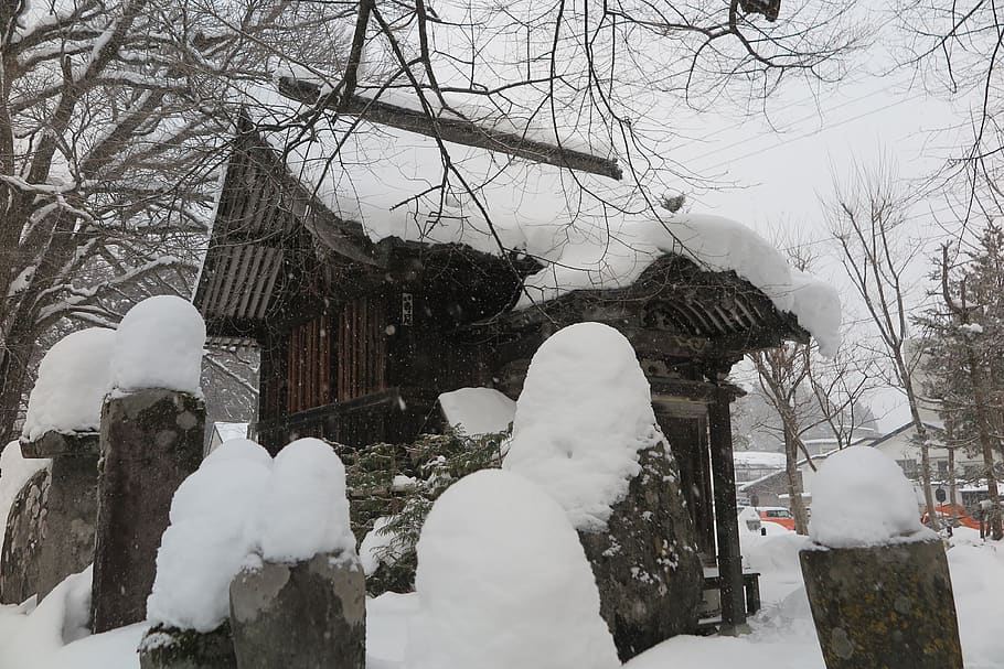 japan, asia, snow, white, nature, ski, cold, building, tokyo