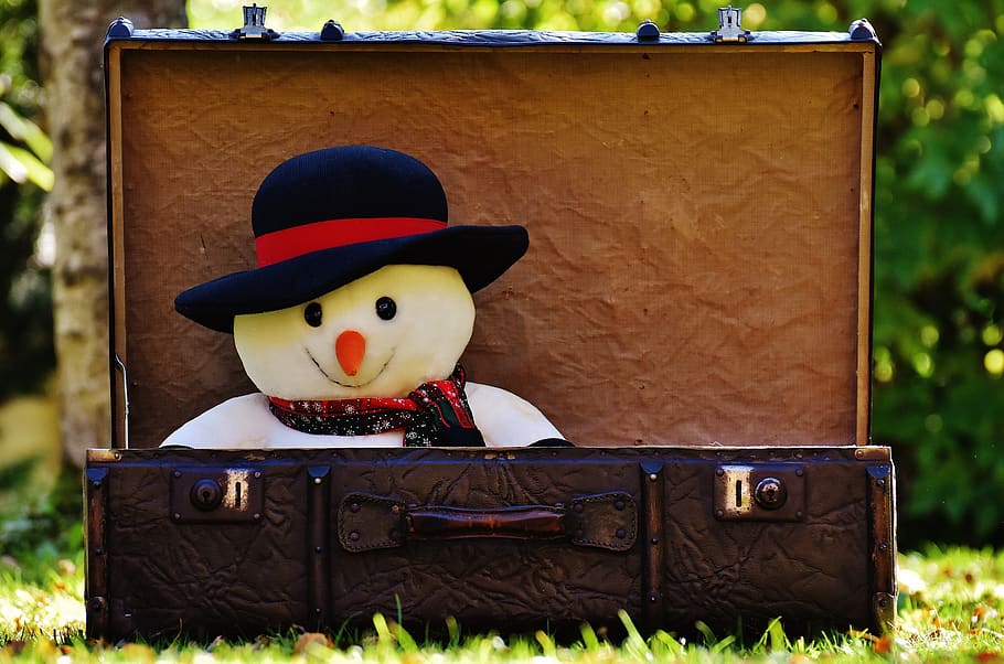 Snowman in Black Hat Doll Inside Chest, blur, grass, leather HD wallpaper