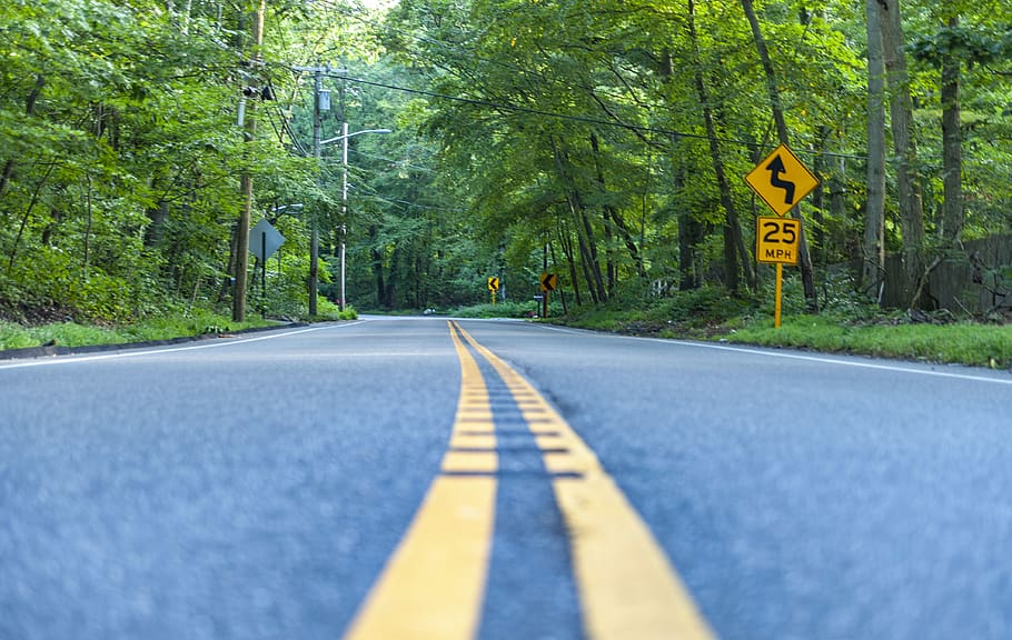 sign, road, tree, road sign, road marking, the way forward HD wallpaper