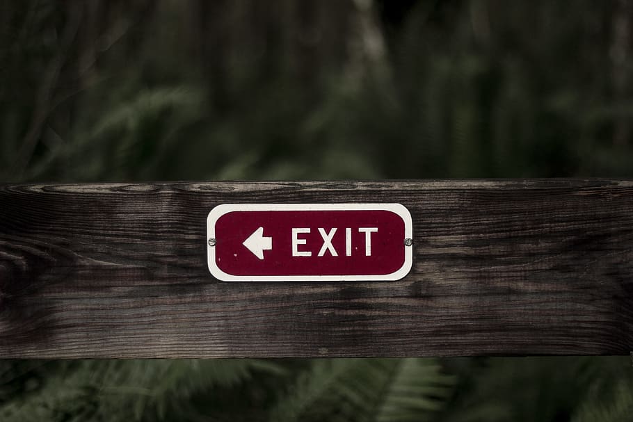exit signage on wooden plank, arrow, outdoors, direction, journey HD wallpaper