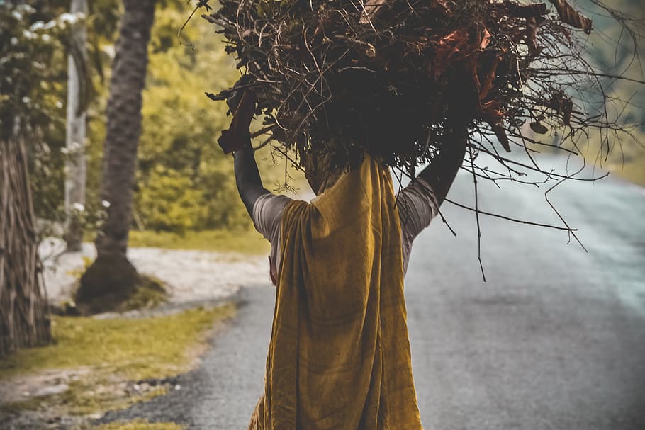 person carrying hay, background, wallpaper, fall color, tree HD wallpaper