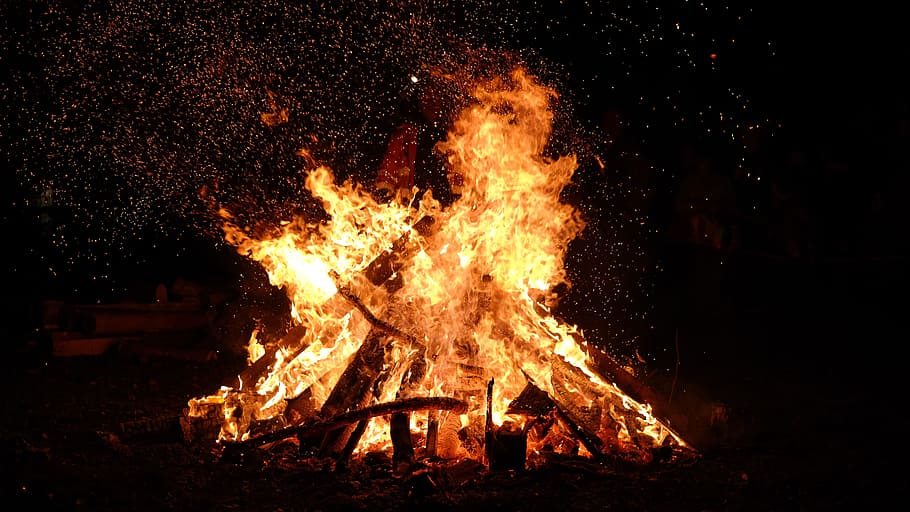 Bonfire Photo, burn, burning, burnt, campfire, close-up, dark HD wallpaper