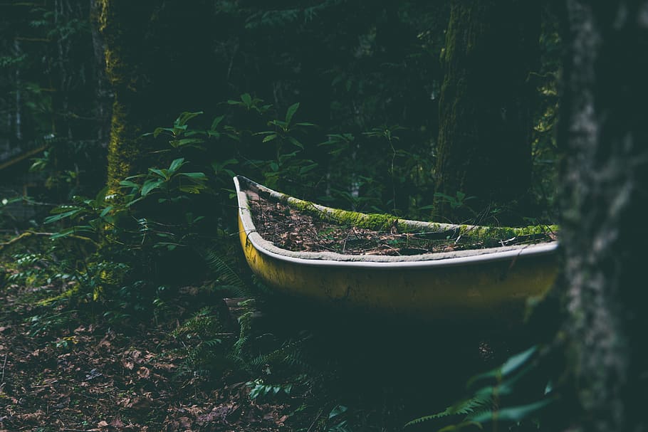 yellow canoe between trees, boat, dinghy, transportation, vessel HD wallpaper