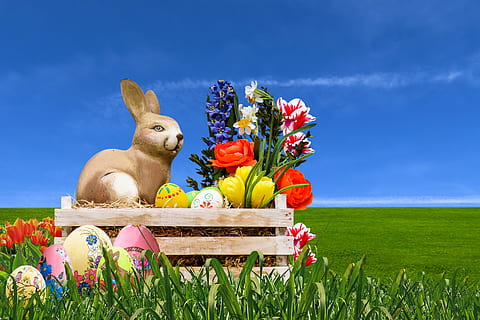 emotions, easter, easter bunny, spring, decoration, easter decoration HD wallpaper