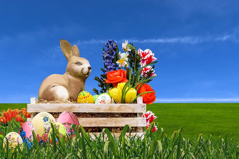 emotions, easter, easter bunny, spring, decoration, easter decoration HD wallpaper