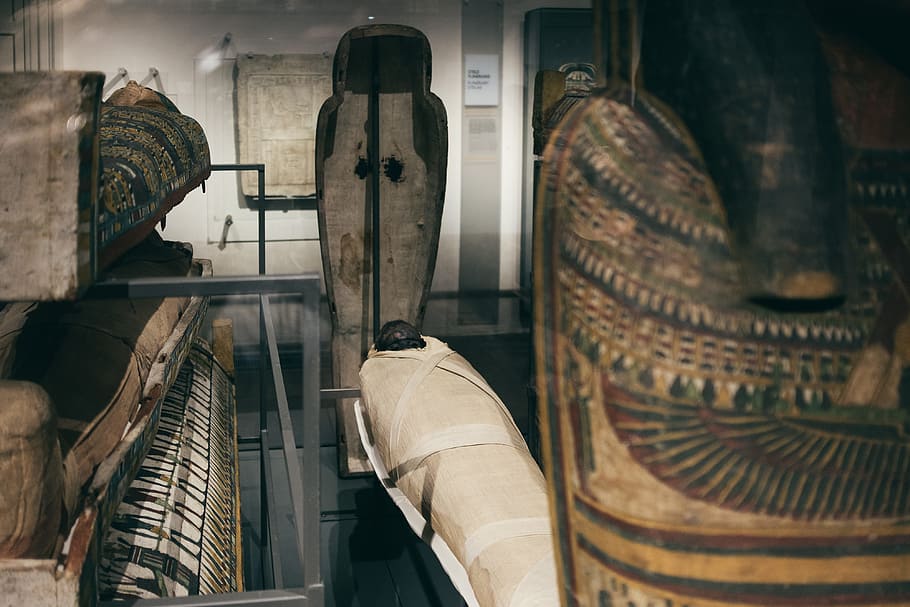 mummies in sarcophagi, aged, ancient, archaeological, archeology, HD wallpaper