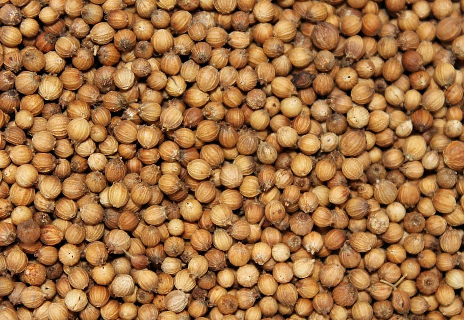 spices, grains, brown, round, dried, food, nutrition, kitchen HD wallpaper