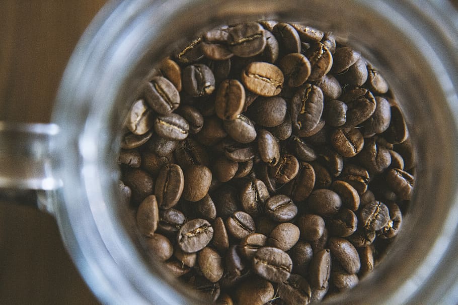 coffee, seeds, brown, cup, cafe, espresso, cappuccino, latte HD wallpaper