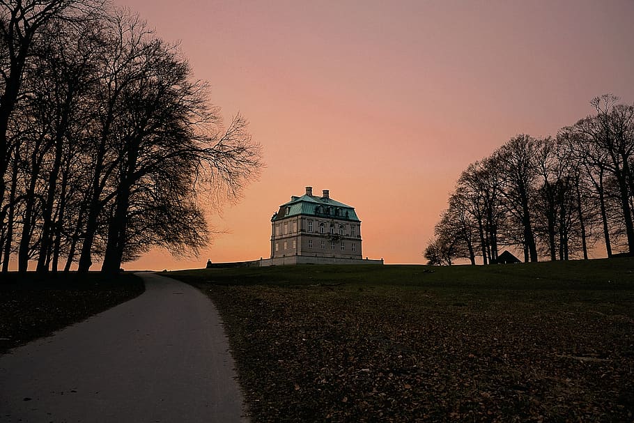 castle, denmark, forest, hermitage, orange, pink, sunset, nature HD wallpaper
