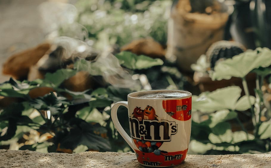 Selective Focus Photo of M&M's Ceramic Mug on Gray Concrete, beverage HD wallpaper