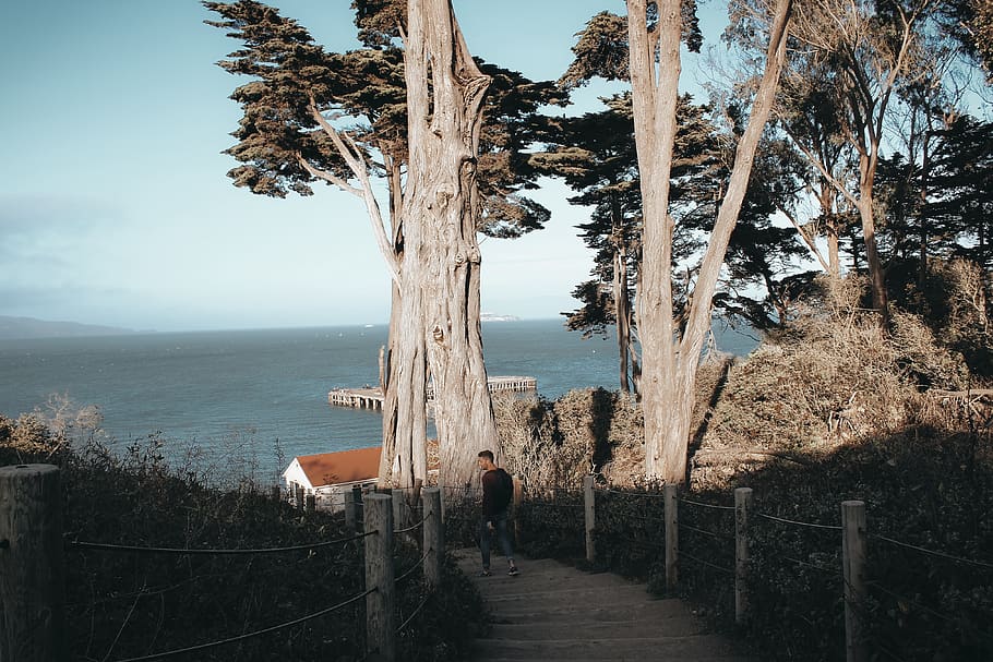 Man Walking on Stairs, beach, daylight, guy, landscape, mountain HD wallpaper