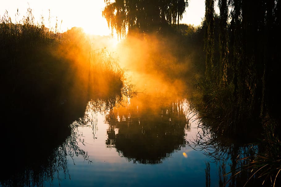 Silhouette Photography of Trees Near Water, bright, dawn, evening HD wallpaper