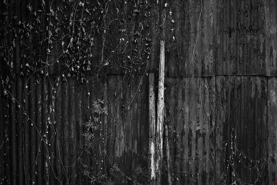 wood logs on wall, plant, tree, outdoors, lighting, annonaceae HD wallpaper