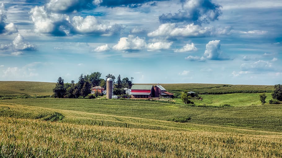 iowa, farm, barn, sky, clouds, landscape, agriculture, corn, HD wallpaper
