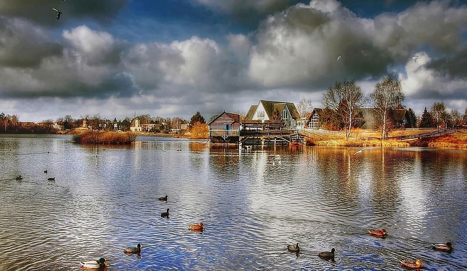 House and Body of Water, clouds, ducks, houses, landscape, nature HD wallpaper