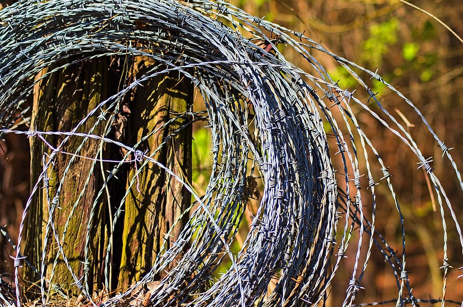barbed wire roll, fence, security, metal, rust, boundary, obstacle HD wallpaper