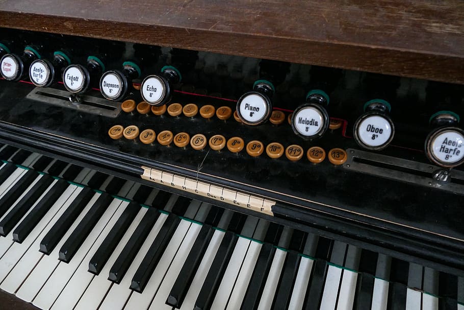 Hands of an Unrecognizable Buddhist Musician with His Back Turned Playing a  Harmonium Next To a Murlidhar Image Stock Image - Image of hand, murlidhar:  283021771