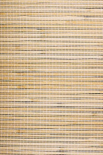 backdrop, background, bamboo, beautiful, bright, close-up, color HD wallpaper