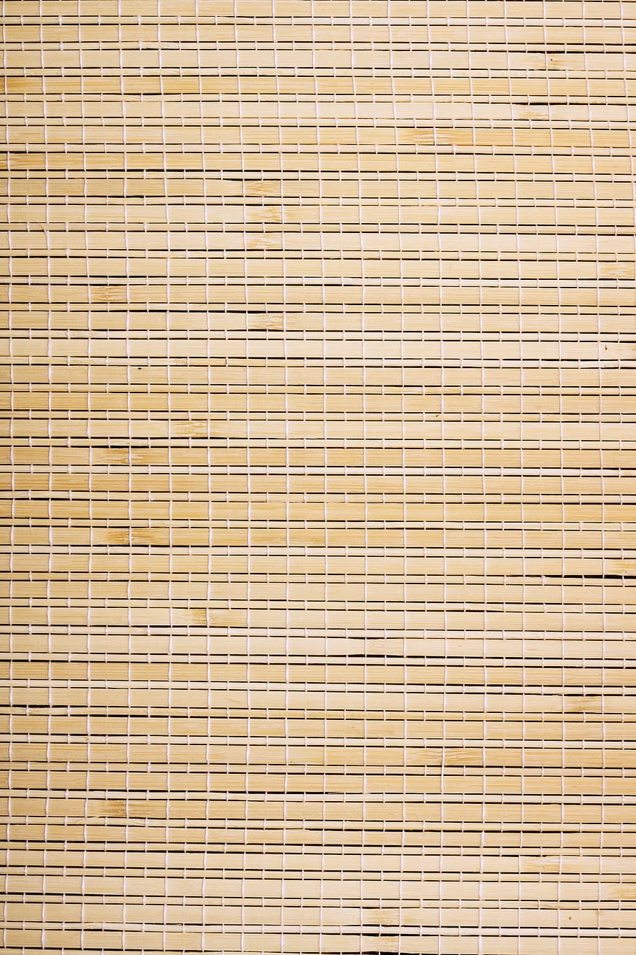 backdrop, background, bamboo, beautiful, bright, close-up, color HD wallpaper