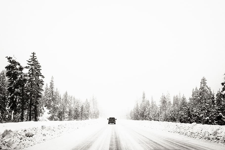 trees, snow, car, ice, road, white, black and white, monochrome HD wallpaper