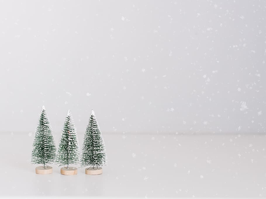 three green Chrismas trees, winter, snow, cold temperature, christmas tree HD wallpaper