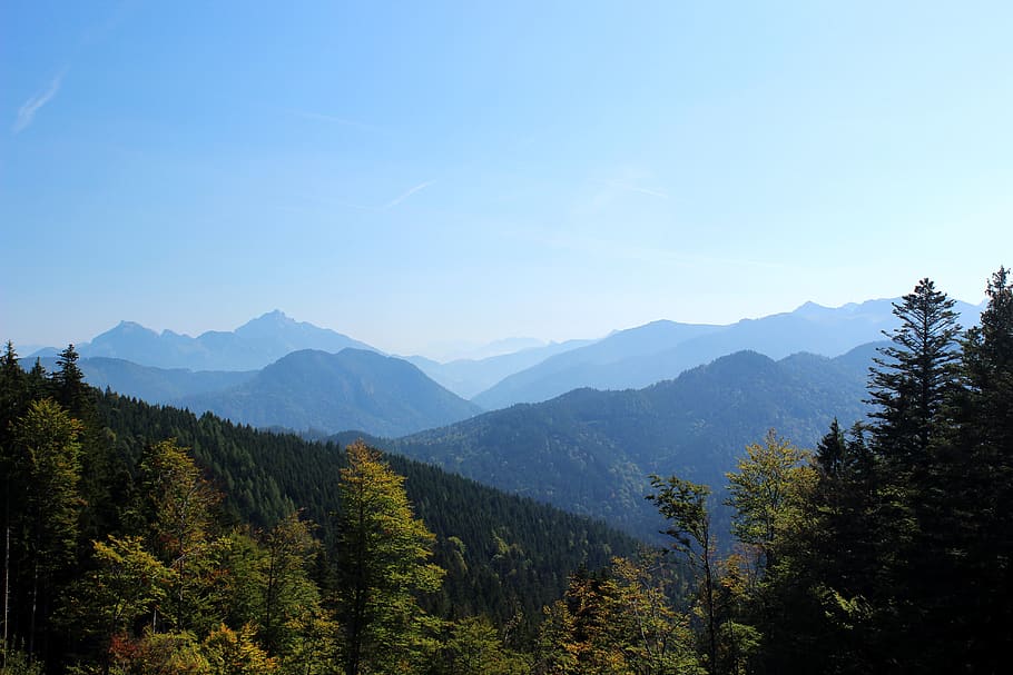 germany, schliersee, mountain, tree, sky, plant, nature, beauty in nature HD wallpaper