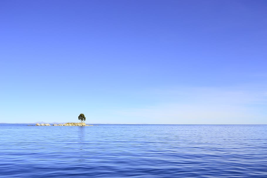 lake titicaca, alone, tree, water, sea, sky, blue, horizon, HD wallpaper