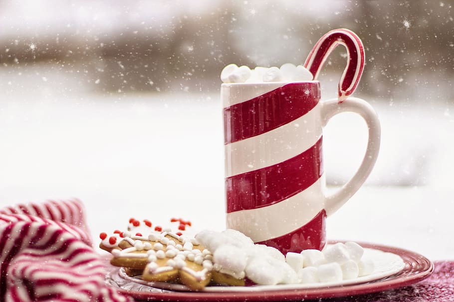 Mug in Plate, beverage, blur, candy, candy cane, chocolate, christmas, HD wallpaper