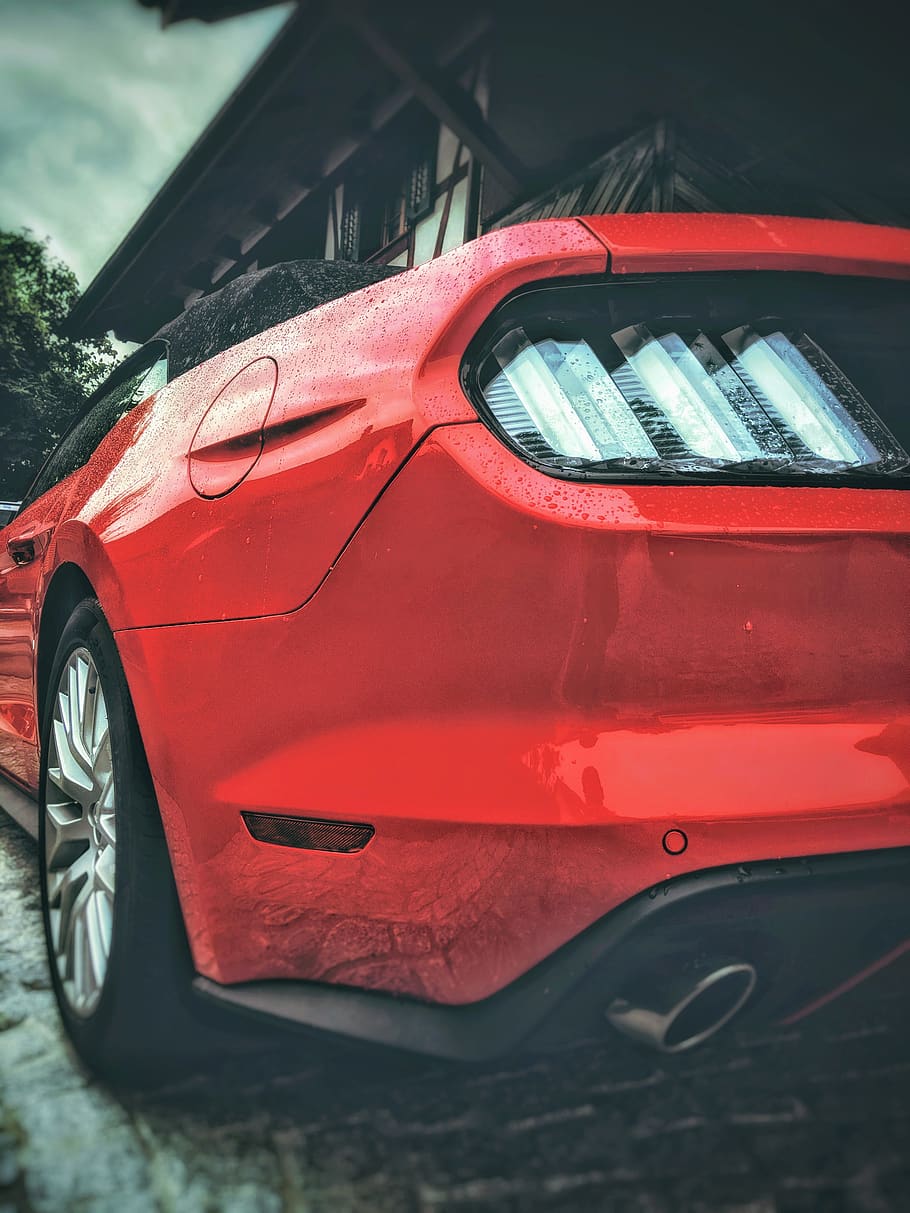 red Ford Mustang GT, automobile, car, coupe, sports car, transportation