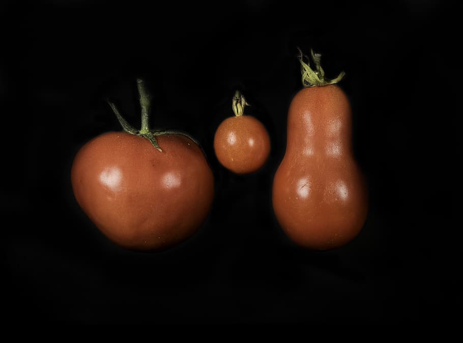 tomatoes, red, fruit, vegetable, food, cooking, food and drink HD wallpaper