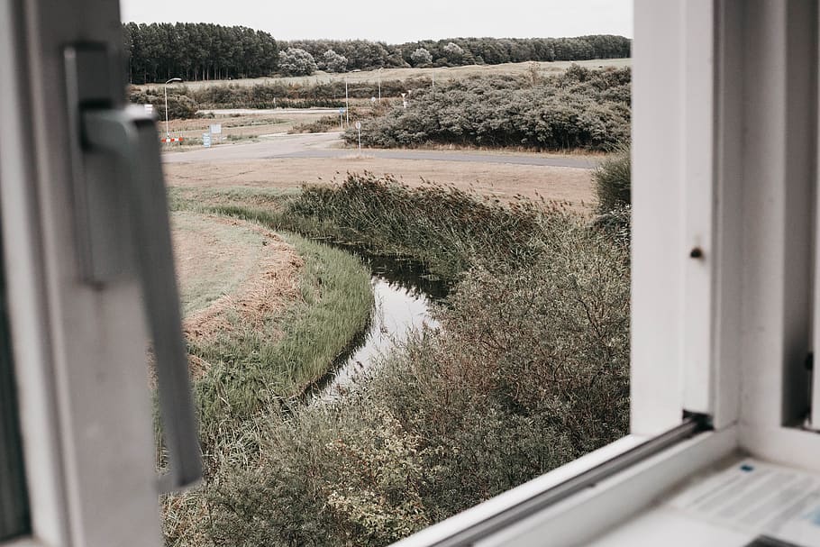 tower, window, stream, bush, grass, road, plant, day, no people HD wallpaper
