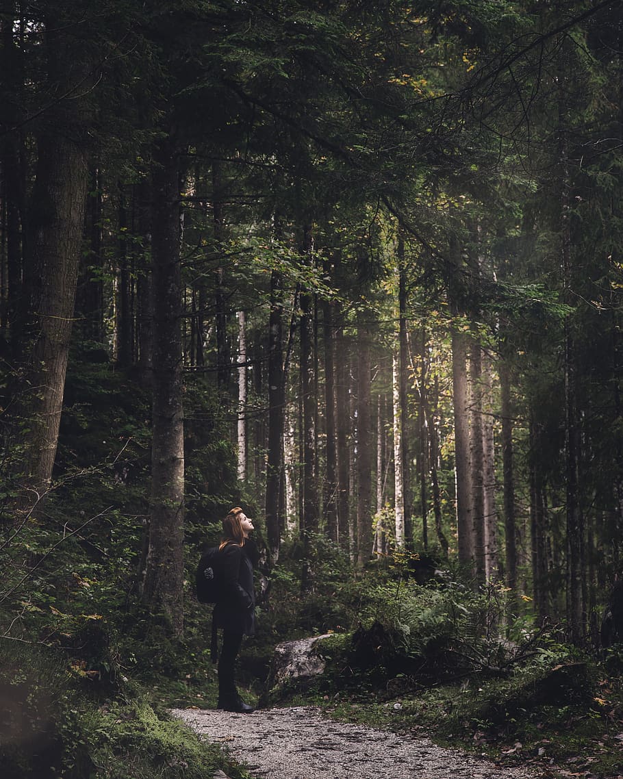 woman on dirt trail in woods, nature, forest, vegetation, plant, HD wallpaper