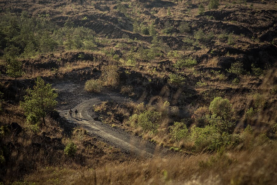 indonesia, bali, plant, road, transportation, no people, landscape HD wallpaper