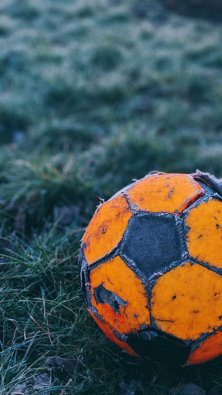 HD wallpaper: orange and black soccer ball on the field, sphere, grass, football - Wallpaper Flare
