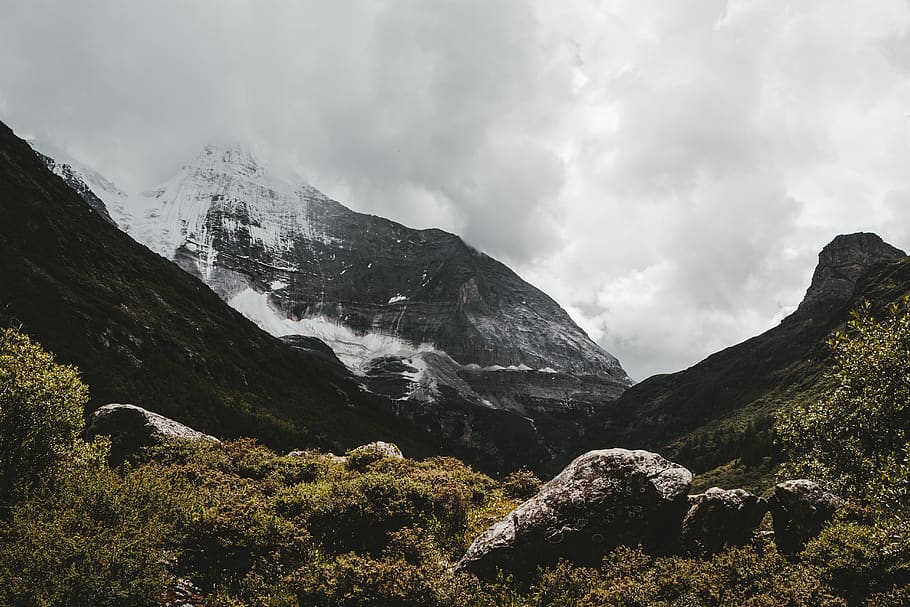 mountain covered with fogs, nature, snow, rock, forest, landscape HD wallpaper