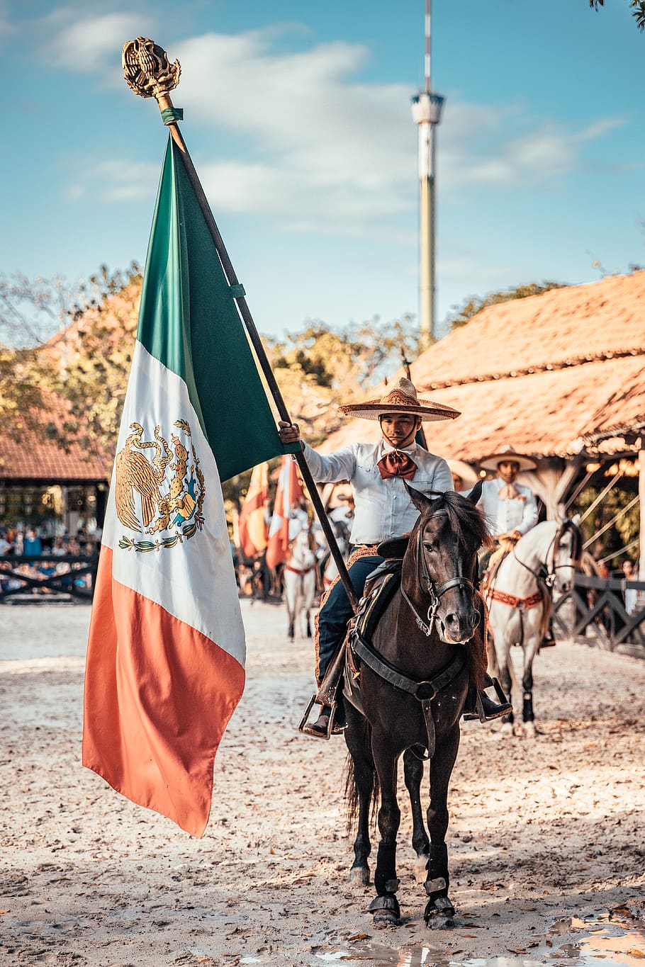 man riding on horse while holding flag of Mexico, symbol, human