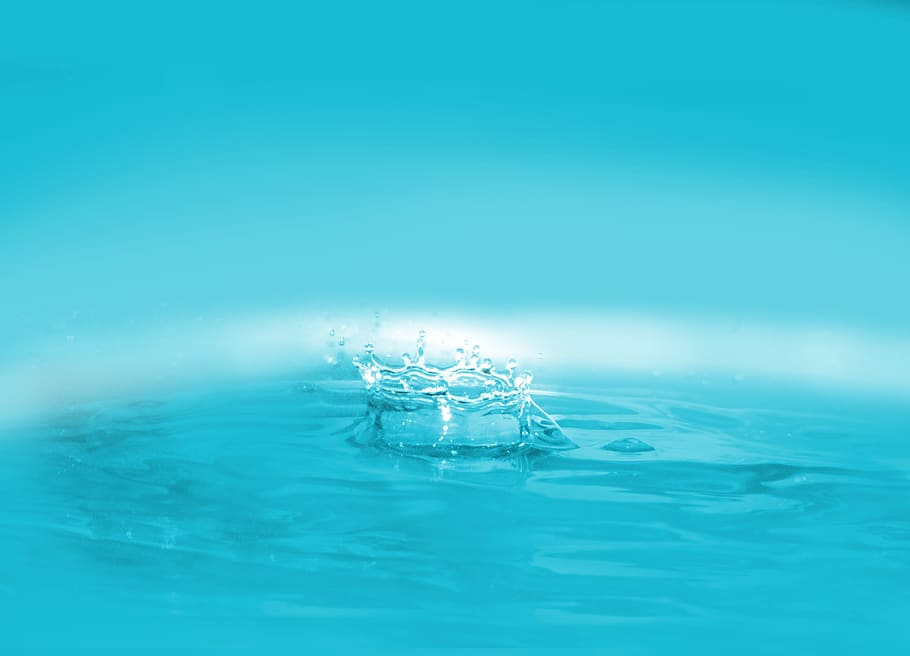 water, splash, liquid, wave, drop, nature, wet, clear, splashing HD wallpaper