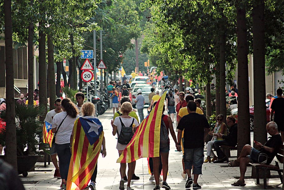 spain, barcelona, plaça de comas, group of people, city, tree HD wallpaper