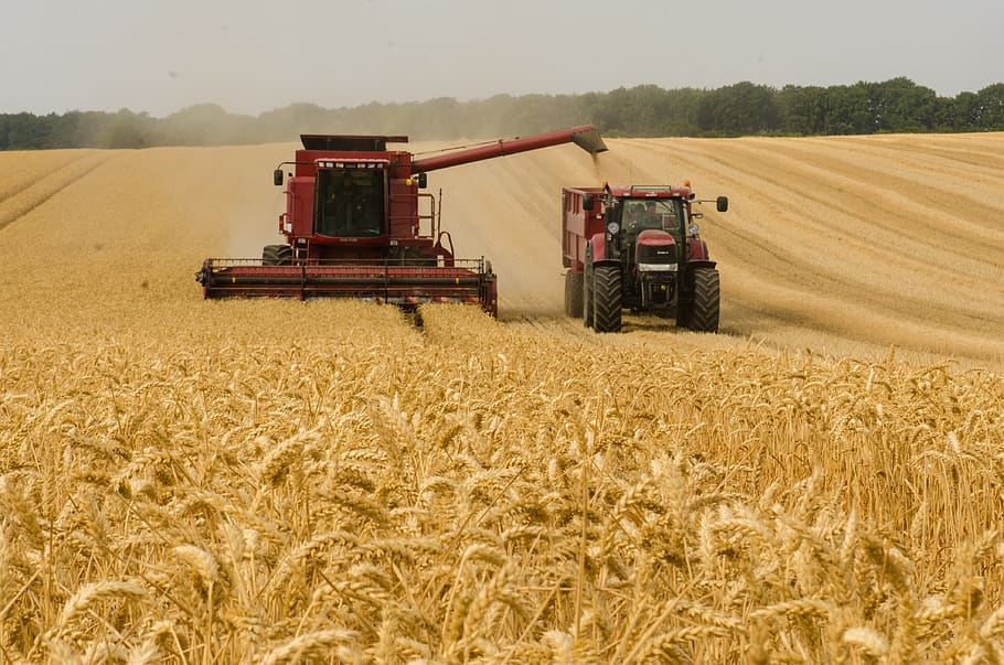 harvester, tractor, wheat, agriculture, farm, machine, fieldwork, HD wallpaper