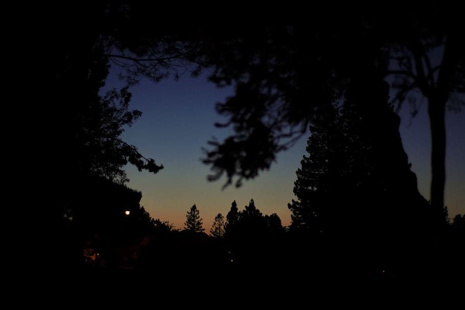 trees, sunset, california, sundown, field, sky, blue, orage HD wallpaper