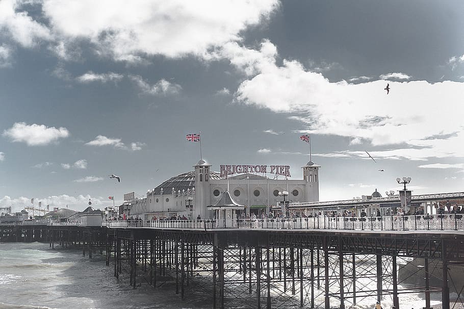 Brighton Pier, England, architecture, bay, bird, bridge, buildings HD wallpaper