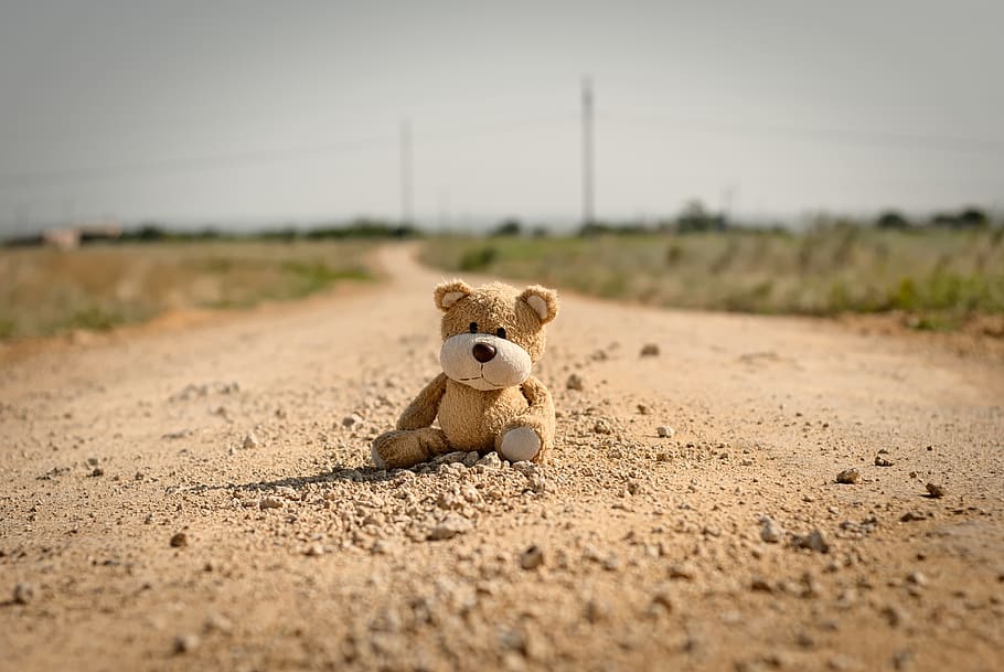 toy, teddy bear, road, stuffed toy, childhood, dirt, nature HD wallpaper